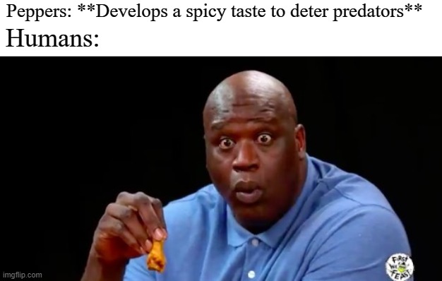 surprised shaq | Peppers: **Develops a spicy taste to deter predators**; Humans: | image tagged in surprised shaq,spicy food,memes | made w/ Imgflip meme maker