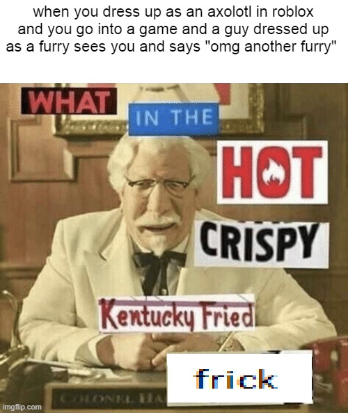 axolotls are not furries because they don't have hair | when you dress up as an axolotl in roblox and you go into a game and a guy dressed up as a furry sees you and says "omg another furry" | image tagged in what in the hot crispy kentucky fried frick | made w/ Imgflip meme maker
