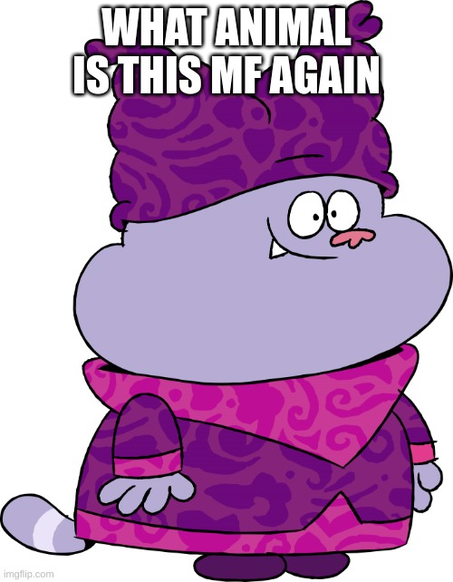 YOUR LOSE | WHAT ANIMAL IS THIS MF AGAIN | image tagged in memes,funny,chowder,animal,someone explain,pp | made w/ Imgflip meme maker