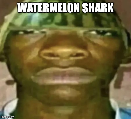 Watermelon Hat | WATERMELON SHARK | image tagged in watermelon hat | made w/ Imgflip meme maker
