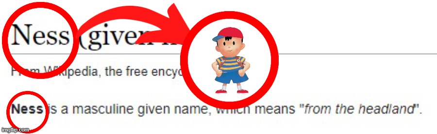 holy shit ness | image tagged in ness,earthbound,name soundalikes,real,mother,nintendo | made w/ Imgflip meme maker