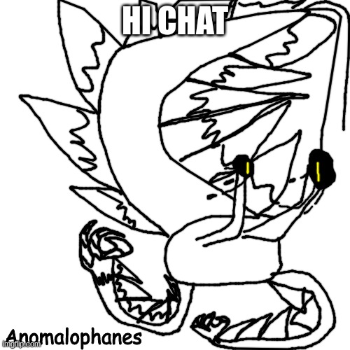 Anomalophanes | HI CHAT | image tagged in anomalophanes | made w/ Imgflip meme maker