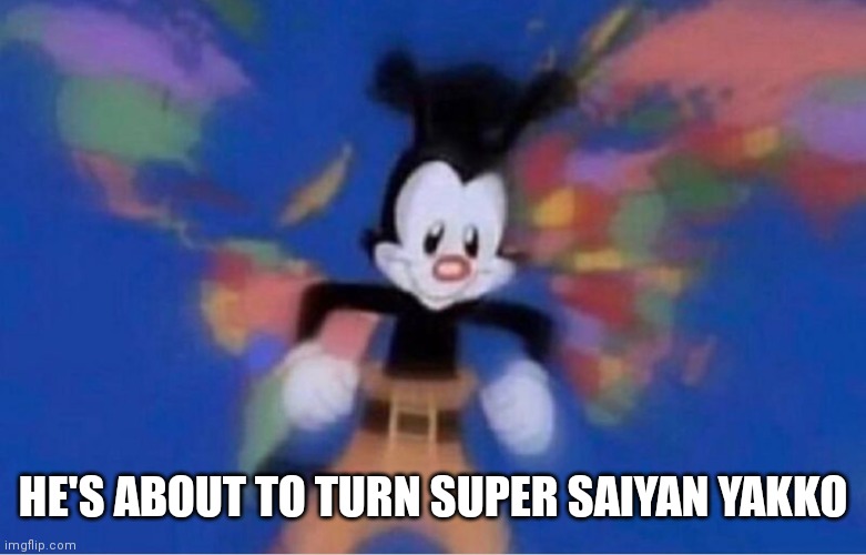 Watch y'all he's going over 9,000 | HE'S ABOUT TO TURN SUPER SAIYAN YAKKO | image tagged in funny memes | made w/ Imgflip meme maker