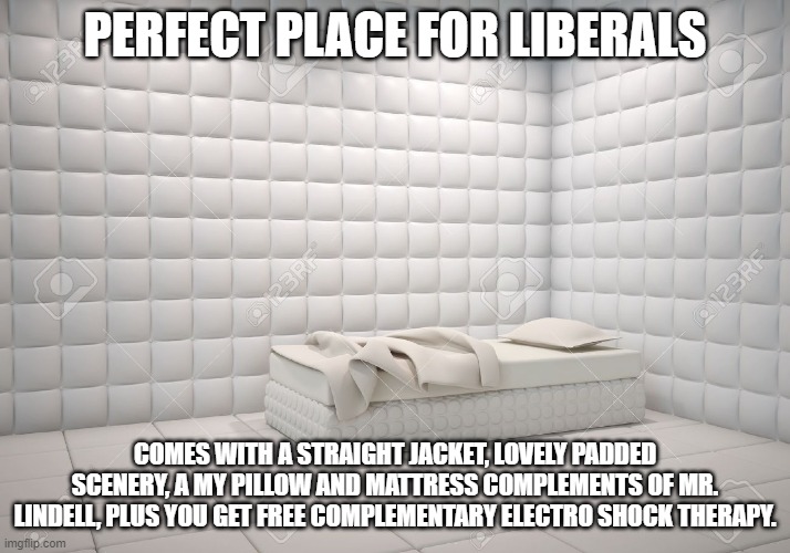 Make insane asylums  great again. LOL | PERFECT PLACE FOR LIBERALS; COMES WITH A STRAIGHT JACKET, LOVELY PADDED SCENERY, A MY PILLOW AND MATTRESS COMPLEMENTS OF MR. LINDELL, PLUS YOU GET FREE COMPLEMENTARY ELECTRO SHOCK THERAPY. | image tagged in padded room,liberals,mental illness | made w/ Imgflip meme maker
