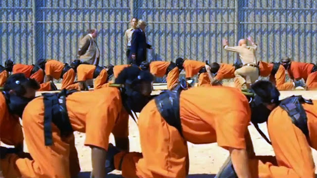 Human Centipede Blank Meme Template