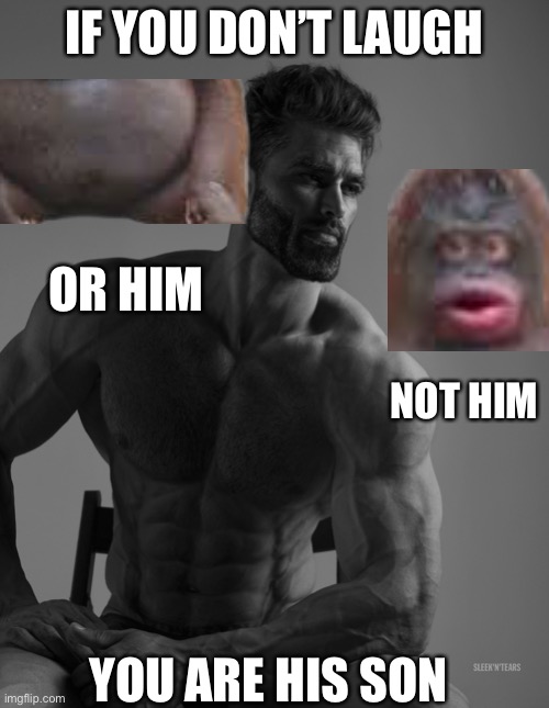 Don’t laugh at le monke or you’re not giga chads son | IF YOU DON’T LAUGH; OR HIM; NOT HIM; YOU ARE HIS SON | image tagged in giga chad | made w/ Imgflip meme maker