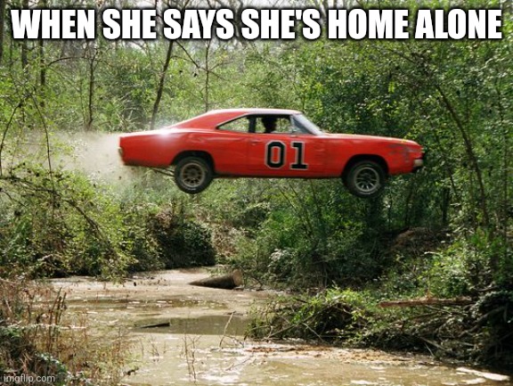 True facs |  WHEN SHE SAYS SHE'S HOME ALONE | image tagged in dukes of hazzard 1,home alone | made w/ Imgflip meme maker