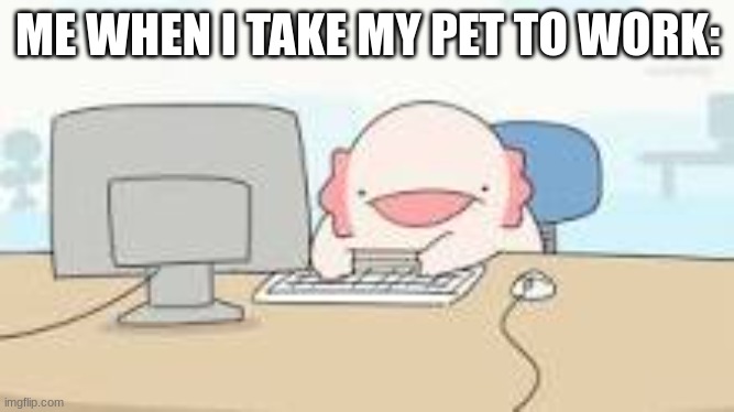 when i take my pet to work | ME WHEN I TAKE MY PET TO WORK: | image tagged in funny memes,animals | made w/ Imgflip meme maker