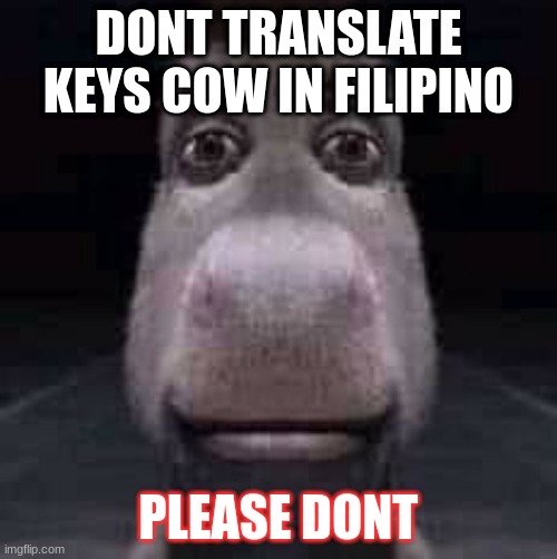 please dont | DONT TRANSLATE KEYS COW IN FILIPINO; PLEASE DONT | image tagged in donkey staring | made w/ Imgflip meme maker