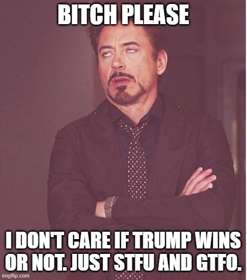 Face You Make Robert Downey Jr Meme | BITCH PLEASE I DON'T CARE IF TRUMP WINS OR NOT. JUST STFU AND GTFO. | image tagged in memes,face you make robert downey jr | made w/ Imgflip meme maker