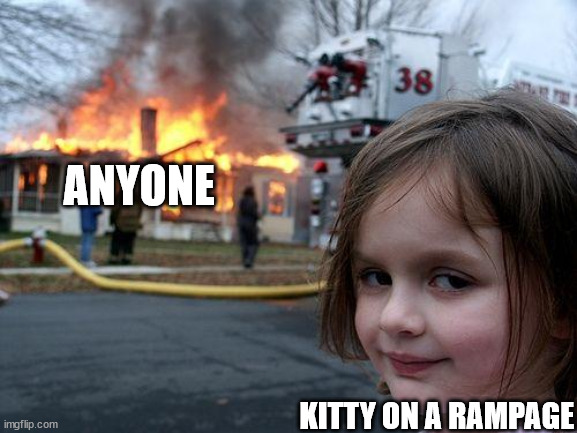 Disaster Girl Meme | ANYONE; KITTY ON A RAMPAGE | image tagged in memes,disaster girl | made w/ Imgflip meme maker