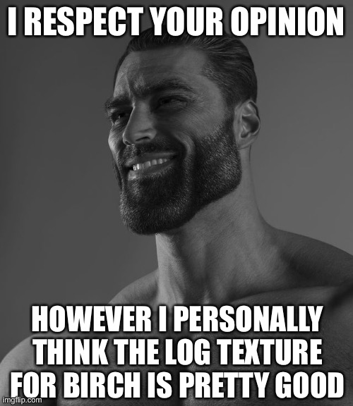 Giga Chad | I RESPECT YOUR OPINION HOWEVER I PERSONALLY THINK THE LOG TEXTURE FOR BIRCH IS PRETTY GOOD | image tagged in giga chad | made w/ Imgflip meme maker