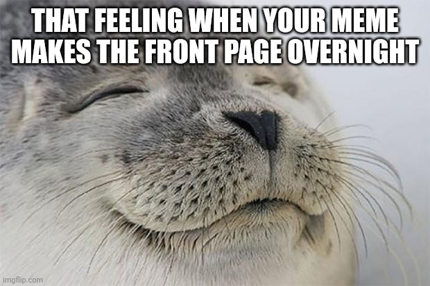 Ahhhhhhhhhhhh | THAT FEELING WHEN YOUR MEME MAKES THE FRONT PAGE OVERNIGHT | image tagged in memes,satisfied seal,relatable | made w/ Imgflip meme maker