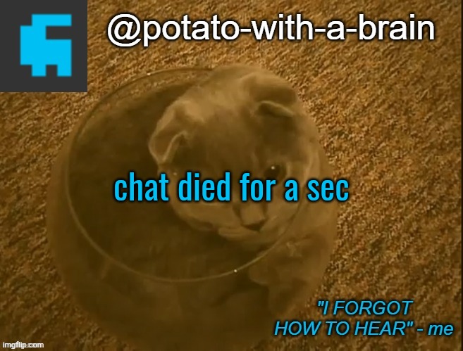 chat died for a sec | image tagged in potato-with-a-brain announcement template thx jade_harley | made w/ Imgflip meme maker
