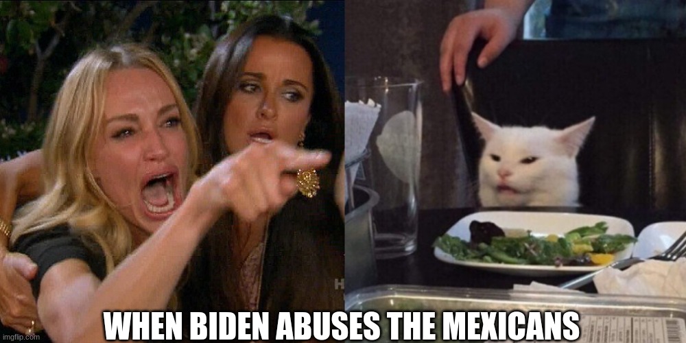 Woman yelling at cat | WHEN BIDEN ABUSES THE MEXICANS | image tagged in woman yelling at cat | made w/ Imgflip meme maker