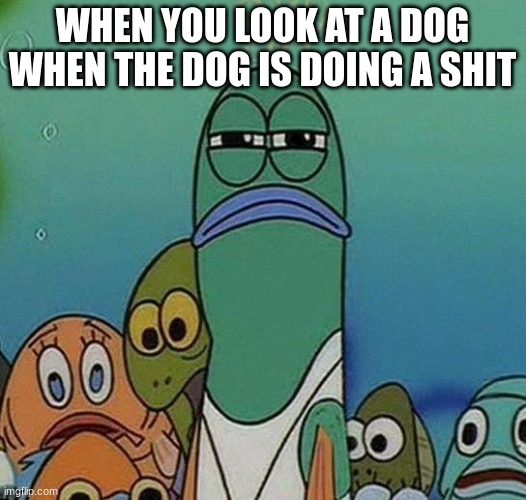 SpongeBob | WHEN YOU LOOK AT A DOG WHEN THE DOG IS DOING A SHIT | image tagged in spongebob | made w/ Imgflip meme maker