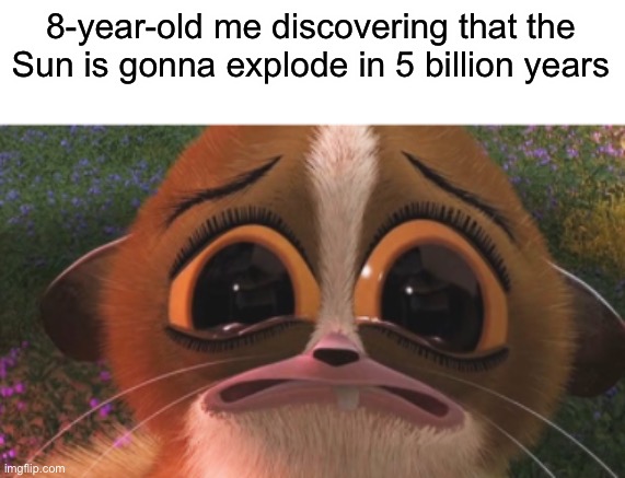 WE ARE GONNA DIE |  8-year-old me discovering that the Sun is gonna explode in 5 billion years | image tagged in crying mort,kid,sun,end of the world,funny,brazil | made w/ Imgflip meme maker