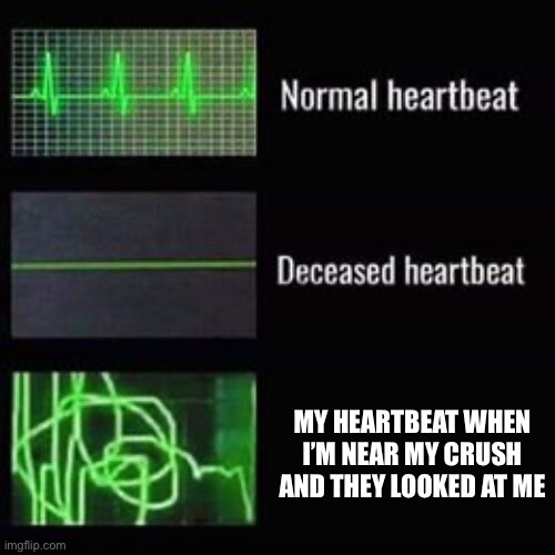 heartbeat rate | MY HEARTBEAT WHEN I’M NEAR MY CRUSH AND THEY LOOKED AT ME | image tagged in heartbeat rate | made w/ Imgflip meme maker