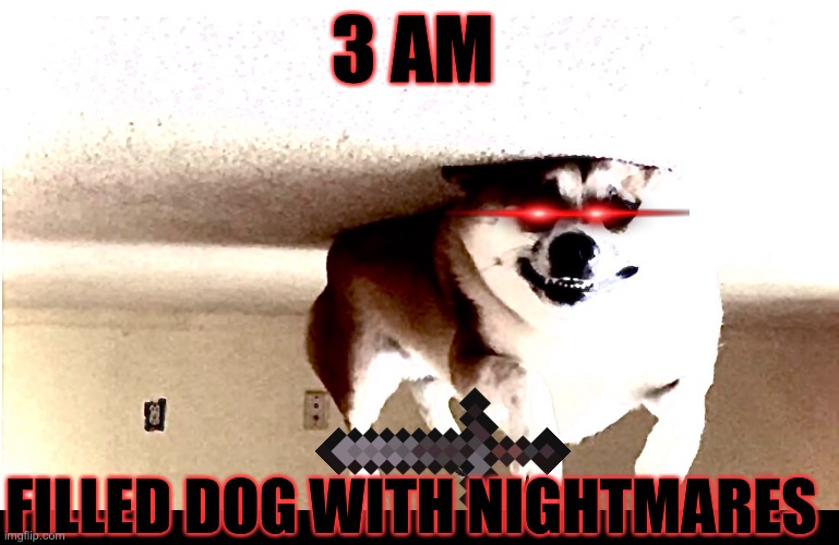 3 am |  3 AM; FILLED DOG WITH NIGHTMARES | image tagged in doggo | made w/ Imgflip meme maker