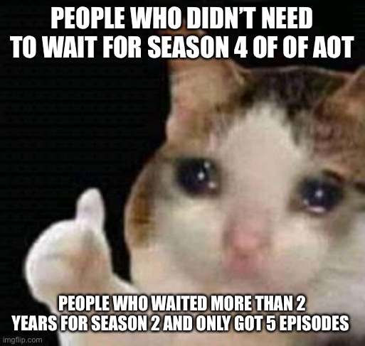 sad thumbs up cat | PEOPLE WHO DIDN’T NEED TO WAIT FOR SEASON 4 OF OF AOT; PEOPLE WHO WAITED MORE THAN 2 YEARS FOR SEASON 2 AND ONLY GOT 5 EPISODES | image tagged in sad thumbs up cat | made w/ Imgflip meme maker