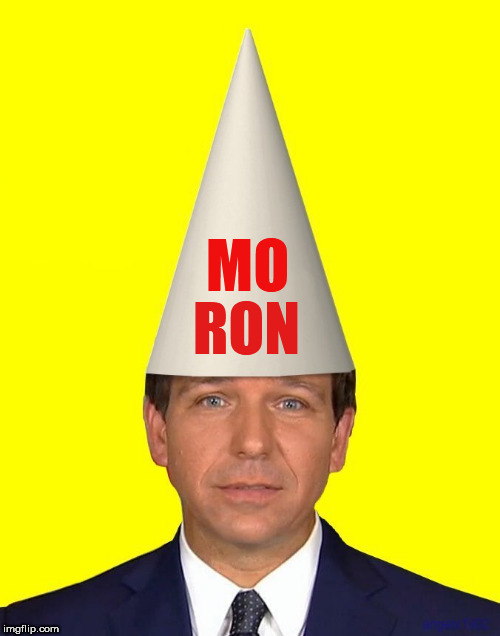 High Quality Moron Ron DeSantis making Florida as stupid as he is Blank Meme Template