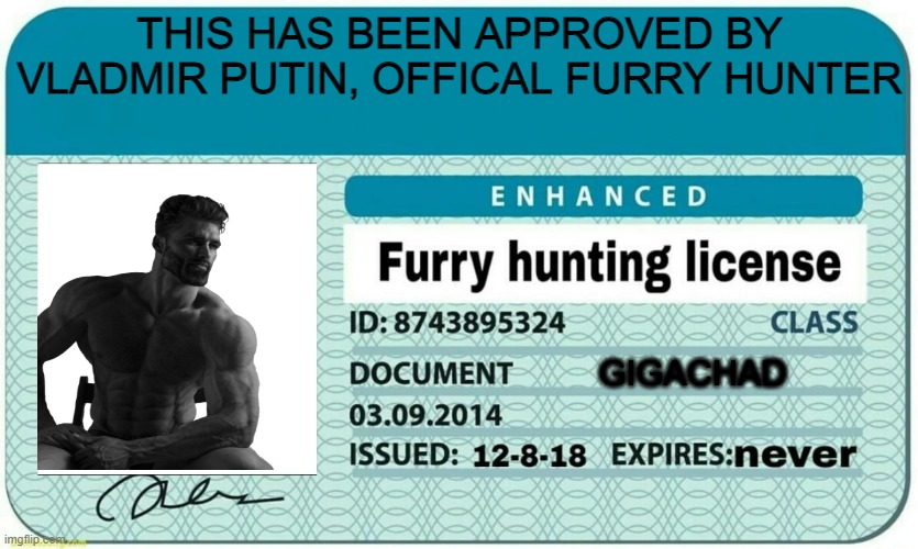 meme | THIS HAS BEEN APPROVED BY VLADMIR PUTIN, OFFICAL FURRY HUNTER; GIGACHAD | image tagged in furry hunting license,gigachad | made w/ Imgflip meme maker