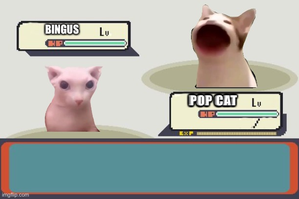 Pokemon Battle |  BINGUS; POP CAT | image tagged in pokemon battle | made w/ Imgflip meme maker