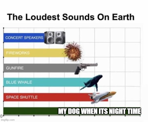 The Loudest Sounds on Earth |  MY DOG WHEN ITS NIGHT TIME | image tagged in the loudest sounds on earth | made w/ Imgflip meme maker