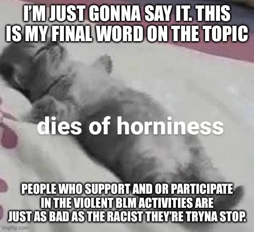dies of horniness | I’M JUST GONNA SAY IT. THIS IS MY FINAL WORD ON THE TOPIC; PEOPLE WHO SUPPORT AND OR PARTICIPATE IN THE VIOLENT BLM ACTIVITIES ARE JUST AS BAD AS THE RACIST THEY’RE TRYNA STOP. | image tagged in dies of horniness | made w/ Imgflip meme maker