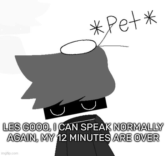 YAAYYYY | LES GOOO, I CAN SPEAK NORMALLY AGAIN, MY 12 MINUTES ARE OVER | image tagged in shadow rien remastered,idk,stuff,s o u p,carck | made w/ Imgflip meme maker