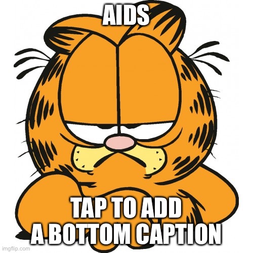 no title | AIDS; TAP TO ADD A BOTTOM CAPTION | image tagged in garfield | made w/ Imgflip meme maker