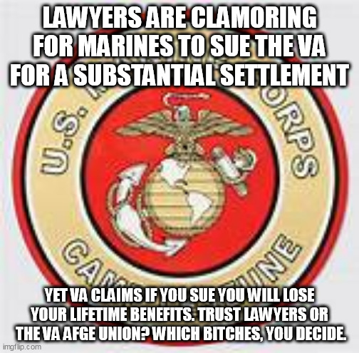 Which Bitch is Worse. | LAWYERS ARE CLAMORING FOR MARINES TO SUE THE VA FOR A SUBSTANTIAL SETTLEMENT; YET VA CLAIMS IF YOU SUE YOU WILL LOSE YOUR LIFETIME BENEFITS. TRUST LAWYERS OR  THE VA AFGE UNION? WHICH BITCHES, YOU DECIDE. | image tagged in veterans,marines,lawyers,union | made w/ Imgflip meme maker