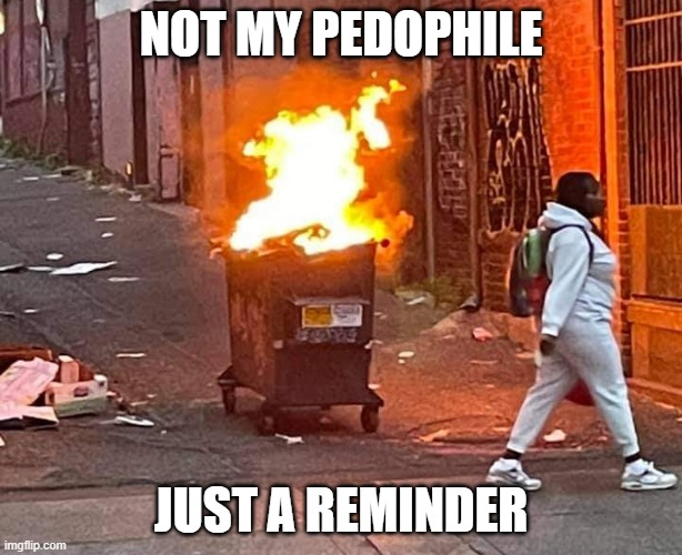 I gave Obama the benefit of the doubt. This dumpster fire gets nothing | NOT MY PEDOPHILE; JUST A REMINDER | image tagged in walking away from a dumpster fire,joe biden,not my president,pedophile,politics,government corruption | made w/ Imgflip meme maker