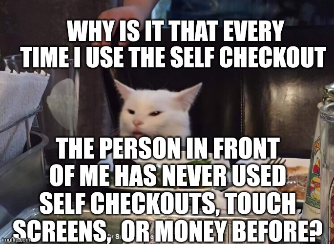  WHY IS IT THAT EVERY TIME I USE THE SELF CHECKOUT; THE PERSON IN FRONT OF ME HAS NEVER USED SELF CHECKOUTS, TOUCH SCREENS,  OR MONEY BEFORE? | image tagged in smudge the cat | made w/ Imgflip meme maker