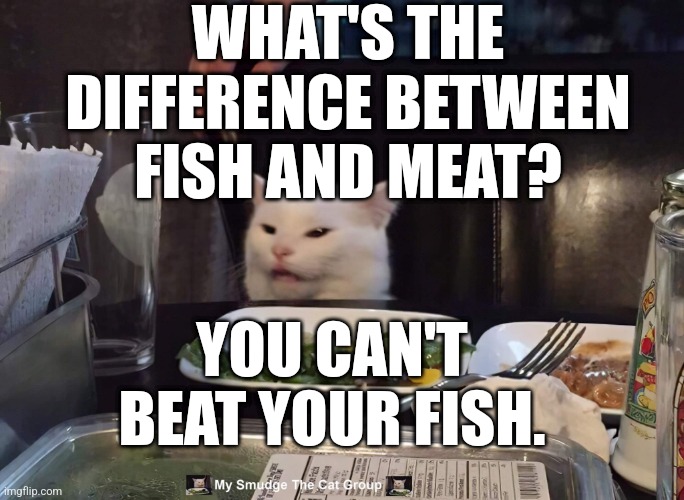 WHAT'S THE DIFFERENCE BETWEEN FISH AND MEAT? YOU CAN'T BEAT YOUR FISH. | image tagged in smudge the cat | made w/ Imgflip meme maker