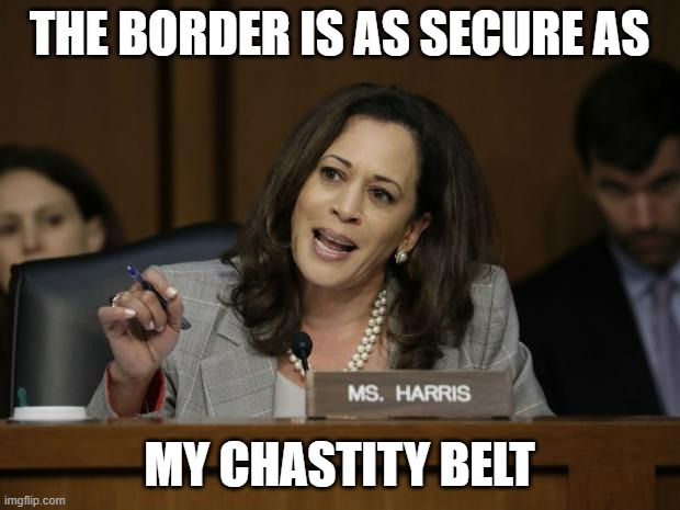 Sounds about right. That's why she's the "Vice" President. |  THE BORDER IS AS SECURE AS; MY CHASTITY BELT | image tagged in kamala harris,hoe,funny memes,politics,stupid liberals,government corruption | made w/ Imgflip meme maker