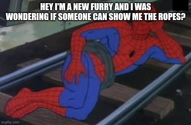 I just became a furry! | HEY I'M A NEW FURRY AND I WAS WONDERING IF SOMEONE CAN SHOW ME THE ROPES? | image tagged in memes,sexy railroad spiderman,spiderman | made w/ Imgflip meme maker
