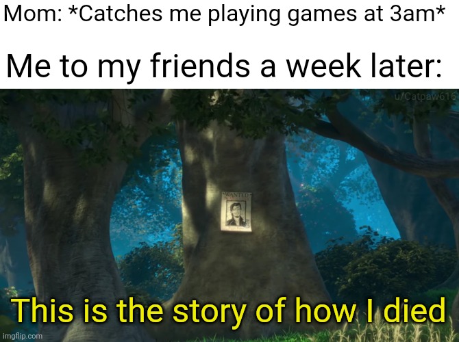 Dead men do tell tales | Mom: *Catches me playing games at 3am*; Me to my friends a week later:; u/Catpaw616; This is the story of how I died | image tagged in funny,memes,caught,gaming,funny memes | made w/ Imgflip meme maker