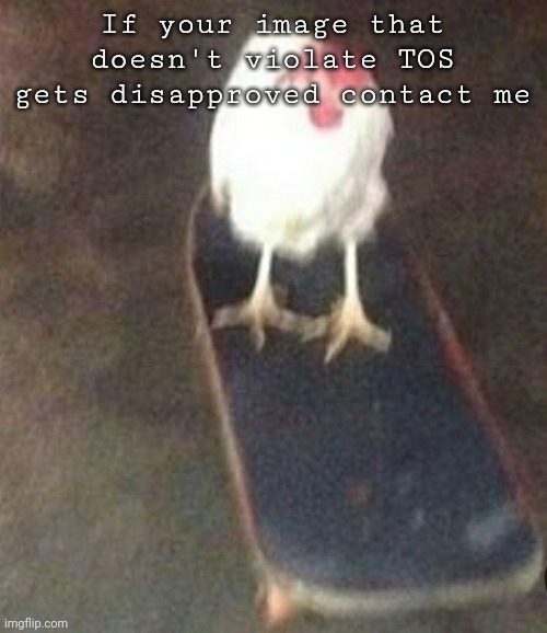 Can't belive i have to say this | If your image that doesn't violate TOS gets disapproved contact me | image tagged in dog on skateboard | made w/ Imgflip meme maker
