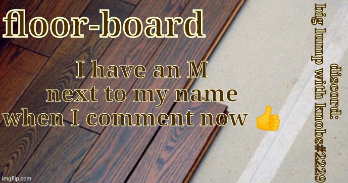 I have an M next to my name when I comment now 👍 | image tagged in honestly floorboards | made w/ Imgflip meme maker