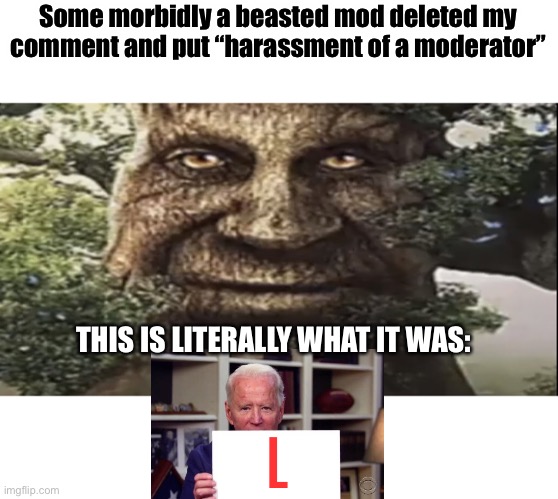 Link in comments | Some morbidly a beasted mod deleted my comment and put “harassment of a moderator”; THIS IS LITERALLY WHAT IT WAS:; L | image tagged in wise mystical tree | made w/ Imgflip meme maker