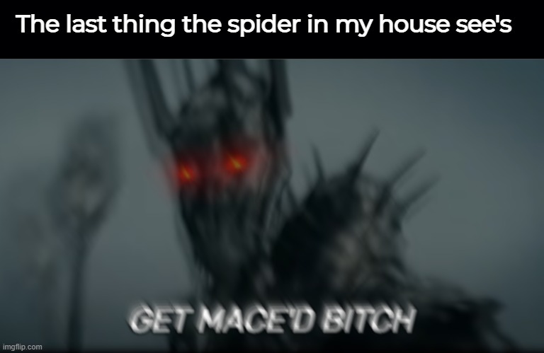 The last thing the spider in my house see's | image tagged in black background,het mace'd bitch | made w/ Imgflip meme maker