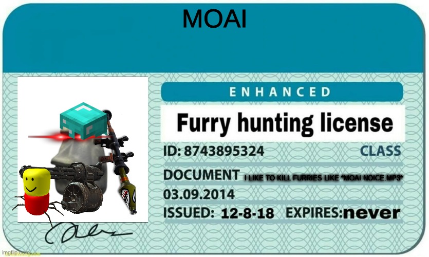 He will rip and tear until it is over | MOAI; I LIKE TO KILL FURRIES LIKE *MOAI NOICE.MP3* | image tagged in furry hunting license,moai | made w/ Imgflip meme maker