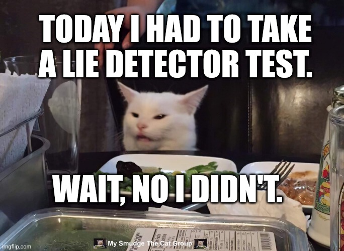  TODAY I HAD TO TAKE A LIE DETECTOR TEST. WAIT, NO I DIDN'T. | image tagged in smudge the cat | made w/ Imgflip meme maker