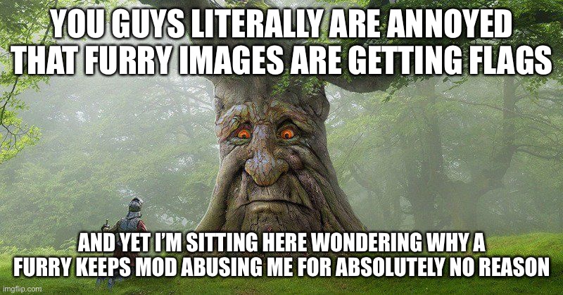 the wise mystical tree is a what?.. : r/memes