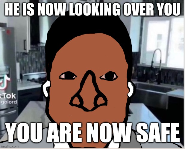 n | HE IS NOW LOOKING OVER YOU; YOU ARE NOW SAFE | image tagged in n | made w/ Imgflip meme maker