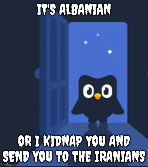 Since I done very good on the other duolingo meme I made another one | IT'S ALBANIAN; OR I KIDNAP YOU AND SEND YOU TO THE IRANIANS | image tagged in duolingo bird,albanian,iran | made w/ Imgflip meme maker
