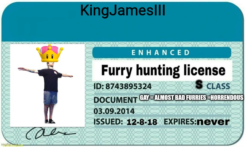 furry hunting license | KingJamesIII; S; GAY = ALMOST BAD FURRIES =HORRENDOUS | image tagged in furry hunting license | made w/ Imgflip meme maker