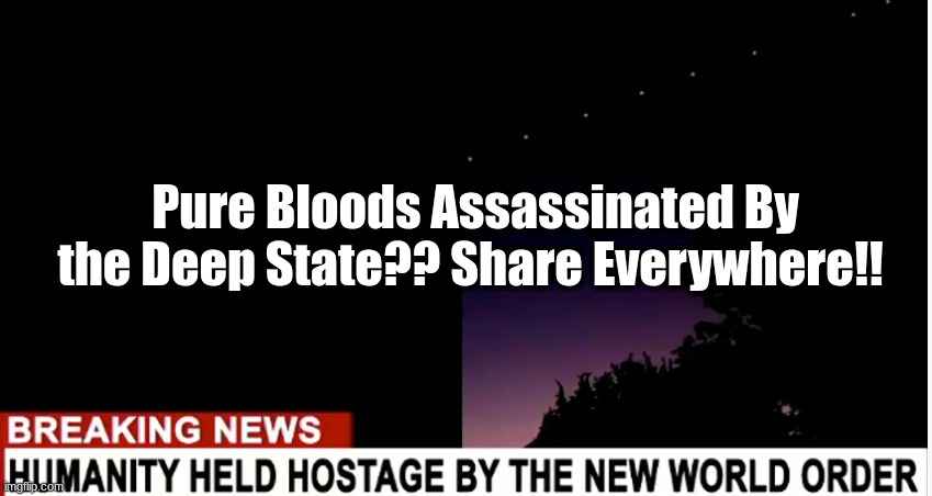 Pure Bloods Assassinated By the Deep State?? Share Everywhere!!  (Video)