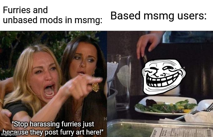 HOW BOUT I DO ANYWAYS | Furries and unbased mods in msmg:; Based msmg users:; "Stop harassing furries just because they post furry art here!" | image tagged in memes,woman yelling at cat,troll,cry about it | made w/ Imgflip meme maker